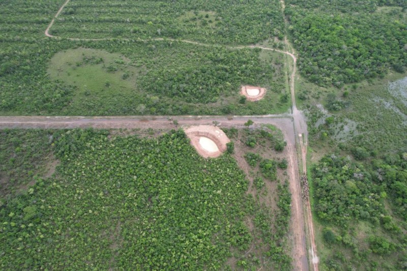 Fiscais do Indea flagram ingresso clandestino de boiada na região de fronteira com a Bolívia
