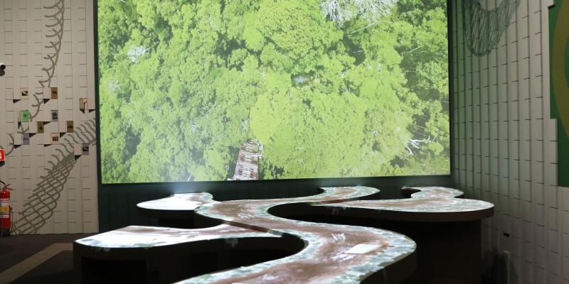 Museu do Amanhã apresenta a visitantes maior bioma tropical do mundo 