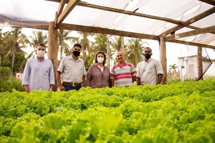 Técnicos da Empaer visitam 14 municípios da Região Oeste para orientar produtores