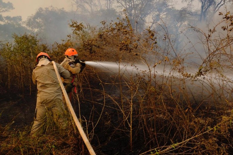 Mato Grosso reduz focos de calor nos três biomas mato-grossenses; no Pantanal foi mais de 80%