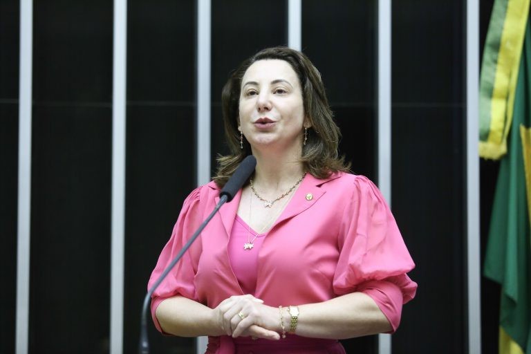Projeto regulamenta emissão de certidão que reconhece a ocupação de terra pública na Amazônia Legal